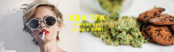 прущий лед Алзамай