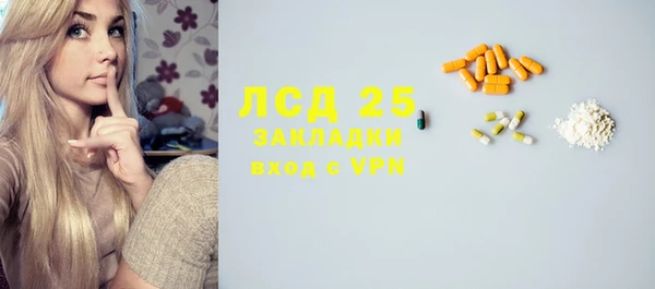 прущий лед Алзамай