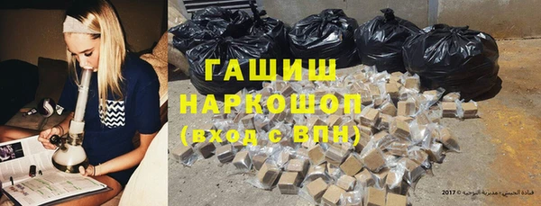 прущий лед Алзамай