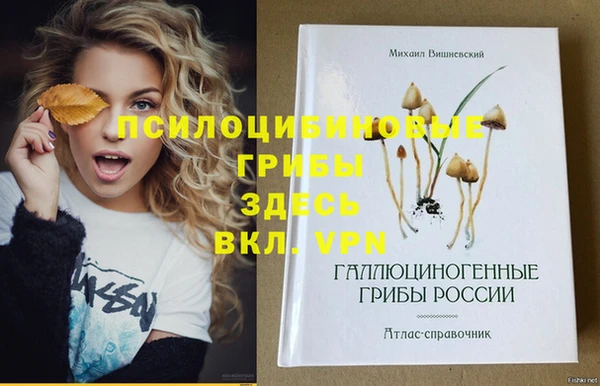 apvp Алексеевка