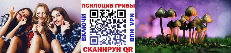 это клад Чистополь Галлюциногенные грибы мицелий