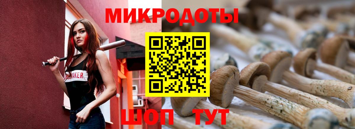 Бутират Чистополь