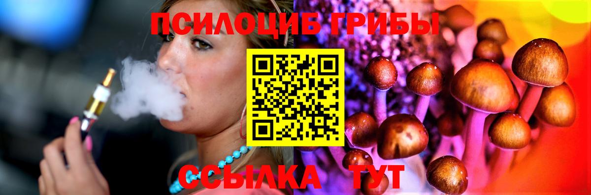 Галлюциногенные грибы ЛСД  Псилоцибиновые грибы Psilocybe  Чистополь  Вход с VPN 